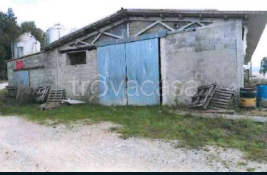 ufficio in vendita a Collazzone