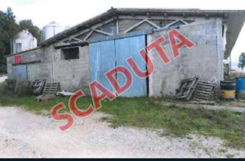 ufficio in vendita a Collazzone