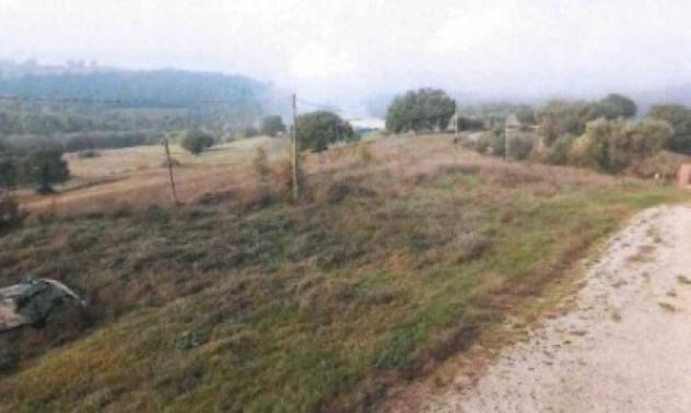 terreno agricolo in vendita a Collazzone