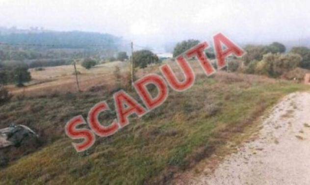 terreno edificabile in vendita a Collazzone