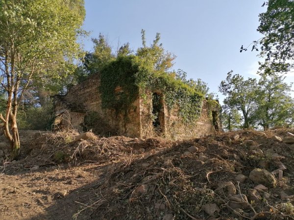 appartamento in vendita a Collazzone