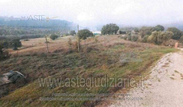 terreno agricolo in vendita a Collazzone