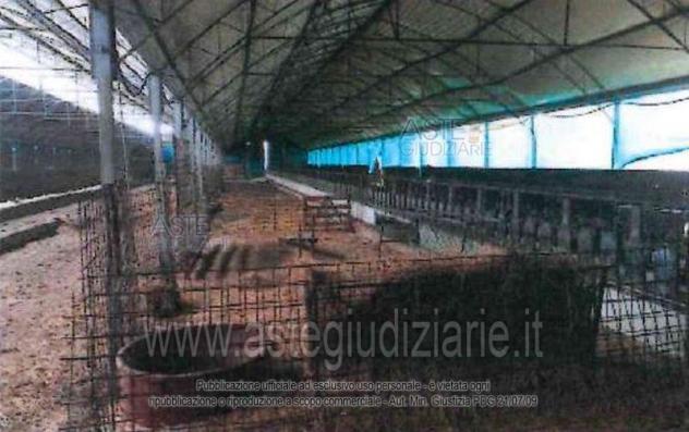 terreno agricolo in vendita a Collazzone