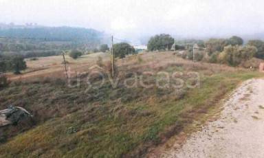 terreno edificabile in vendita a Collazzone