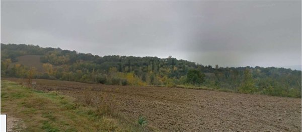 terreno agricolo in vendita a Collazzone in zona Piedicolle