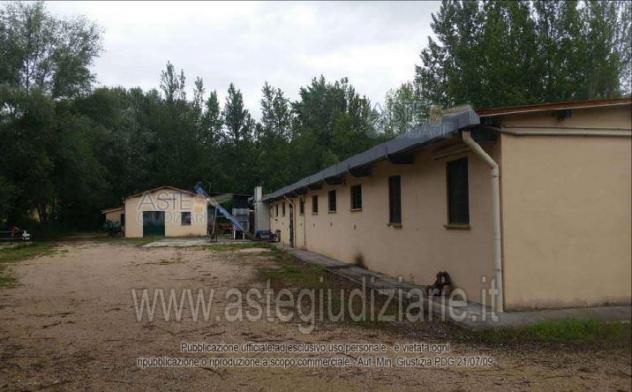 terreno edificabile in vendita a Collazzone