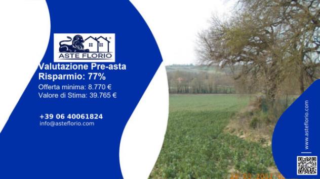 terreno agricolo in vendita a Collazzone