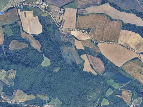 terreno agricolo in vendita a Collazzone in zona Gaglietole