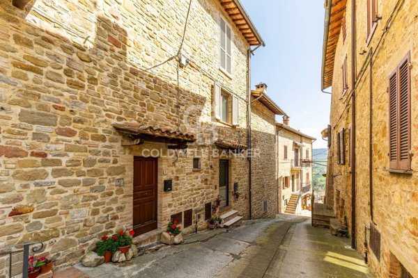 esavano in vendita a Collazzone in zona Gaglietole