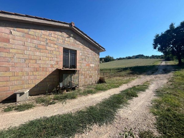 terreno agricolo in vendita a Collazzone