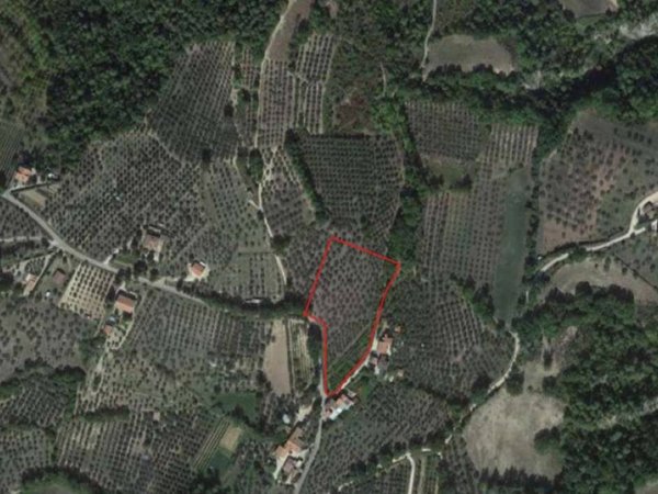 terreno agricolo in vendita a Collazzone in zona Canalicchio