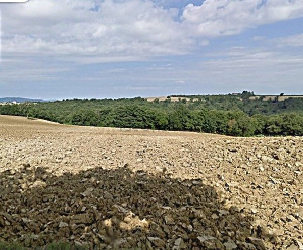 terreno in vendita a Collazzone in zona Gaglietole