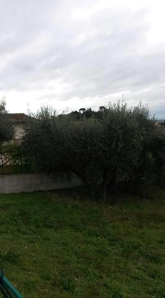 terreno edificabile in vendita a Corciano in zona Solomeo