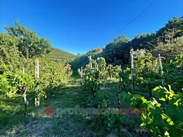 terreno agricolo in vendita a Corciano