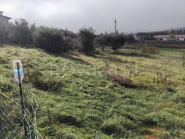 terreno agricolo in vendita a Corciano
