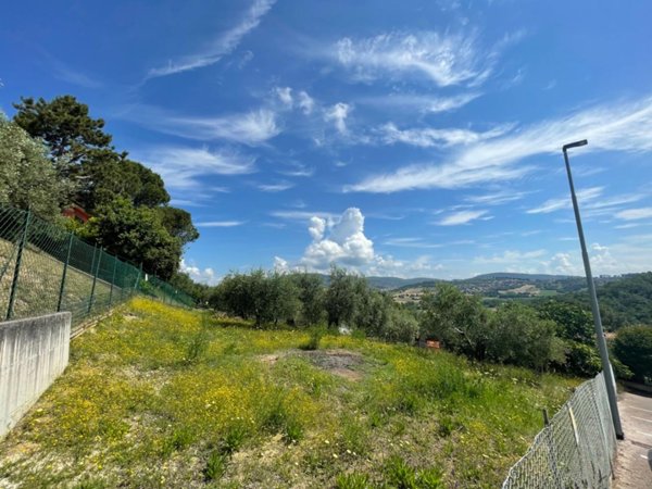 terreno agricolo in vendita a Corciano in zona Solomeo