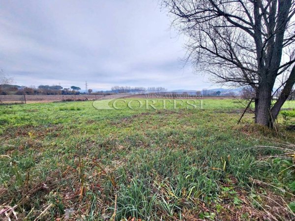 terreno agricolo in vendita a Corciano