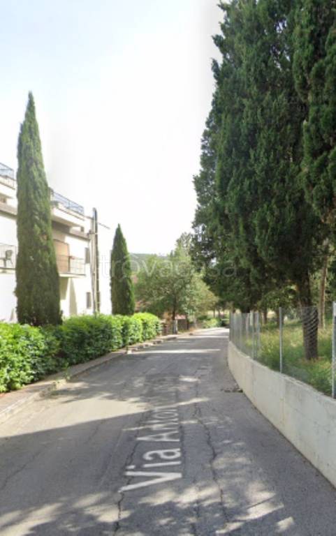 terreno agricolo in vendita a Corciano