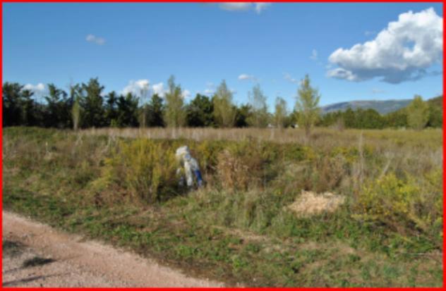 terreno agricolo in vendita a Corciano