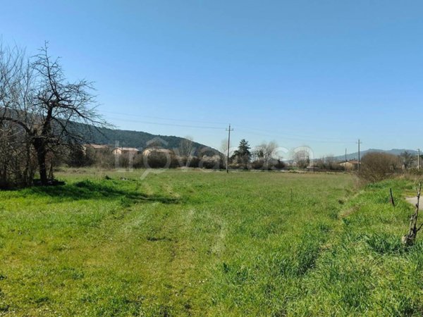 terreno agricolo in vendita a Corciano in zona Capocavallo