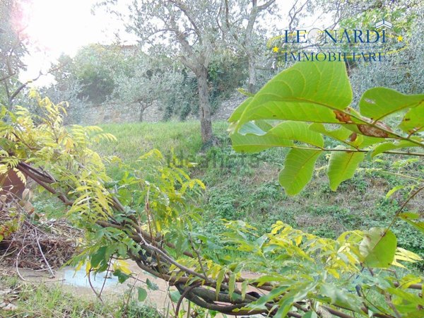 appartamento in vendita a Corciano