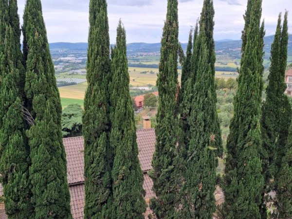 appartamento in vendita a Corciano in zona Ellera Chiugiana