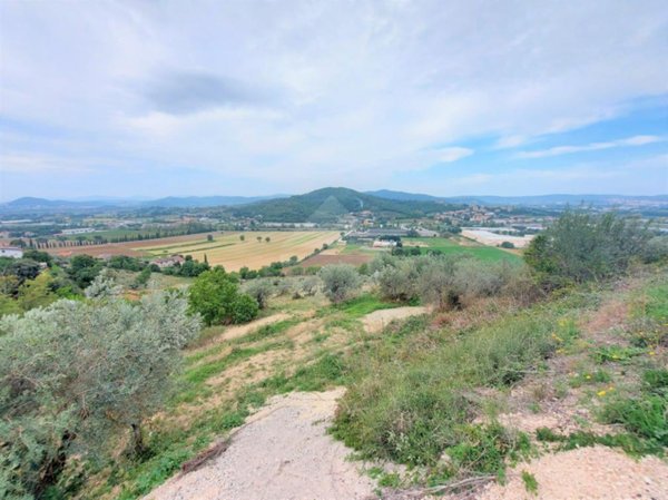 terreno agricolo in vendita a Corciano