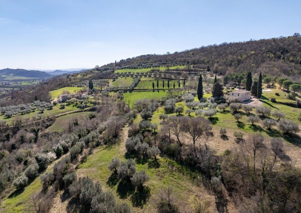 azienda agricola in vendita a Corciano