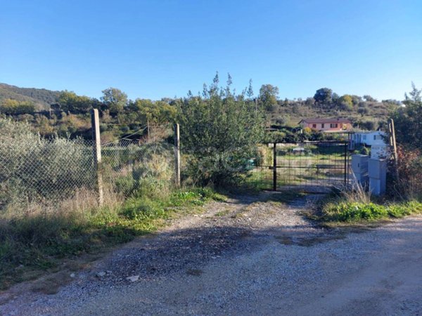 terreno agricolo in vendita a Corciano