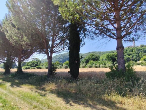 terreno agricolo in vendita a Corciano in zona Capocavallo