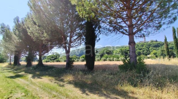 terreno agricolo in vendita a Corciano in zona Capocavallo