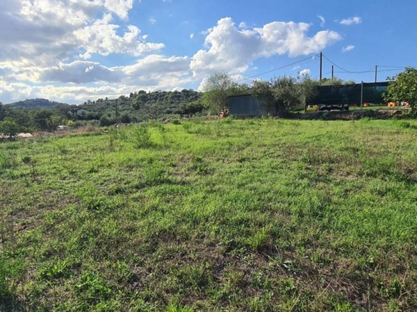 terreno agricolo in vendita a Corciano