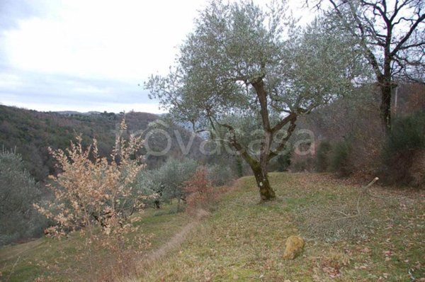 terreno agricolo in vendita a Corciano