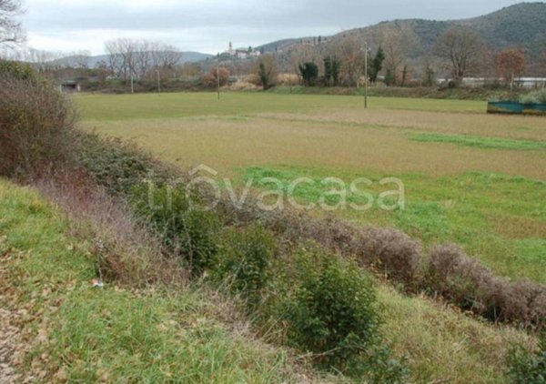 terreno agricolo in vendita a Corciano