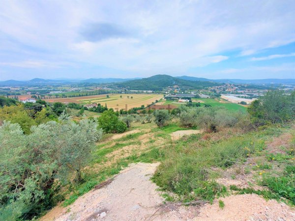 terreno agricolo in vendita a Corciano