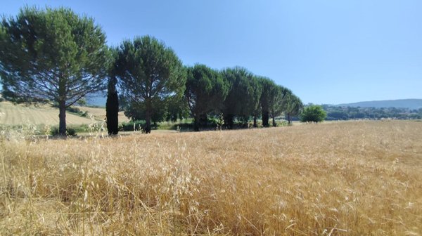 terreno edificabile in vendita a Corciano in zona Capocavallo