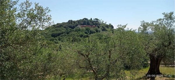 terreno edificabile in vendita a Corciano in zona Solomeo