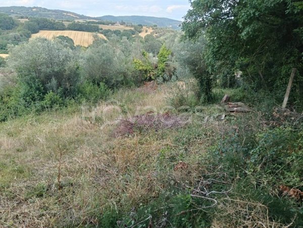 terreno edificabile in vendita a Corciano in zona Capocavallo