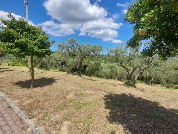 terreno agricolo in vendita a Deruta in zona Castelleone