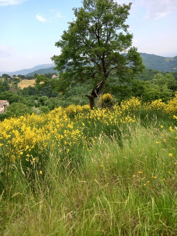 appartamento in vendita a Deruta