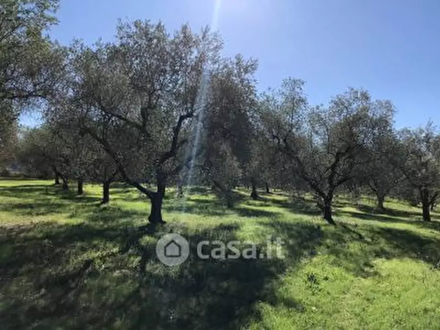 terreno agricolo in vendita a Deruta in zona Castelleone