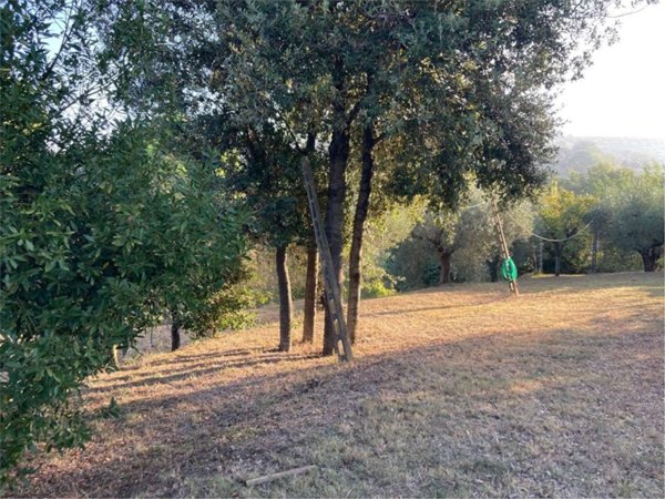 appartamento in vendita a Deruta