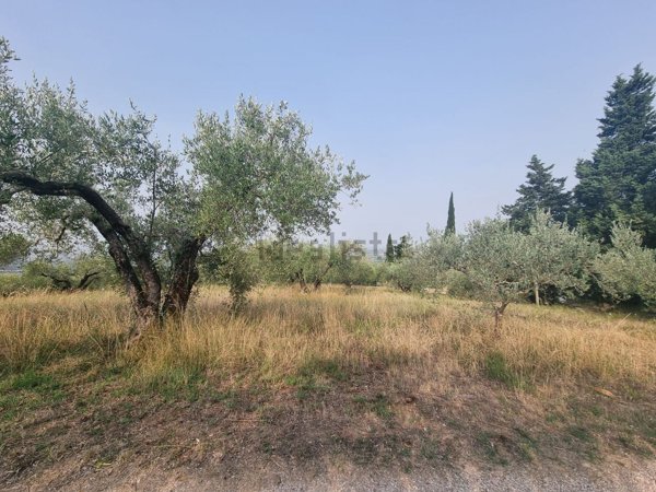 terreno in vendita a Deruta