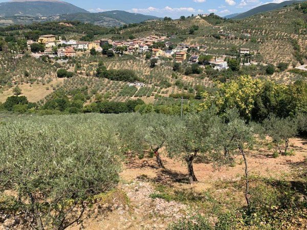 terreno agricolo in vendita a Foligno in zona Verchiano