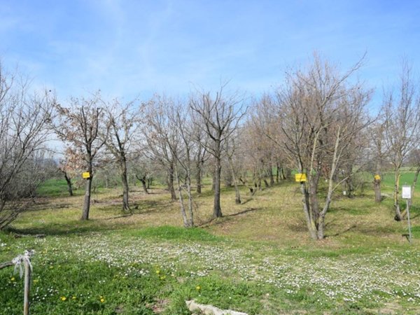 terreno agricolo in vendita a Foligno in zona Corvia