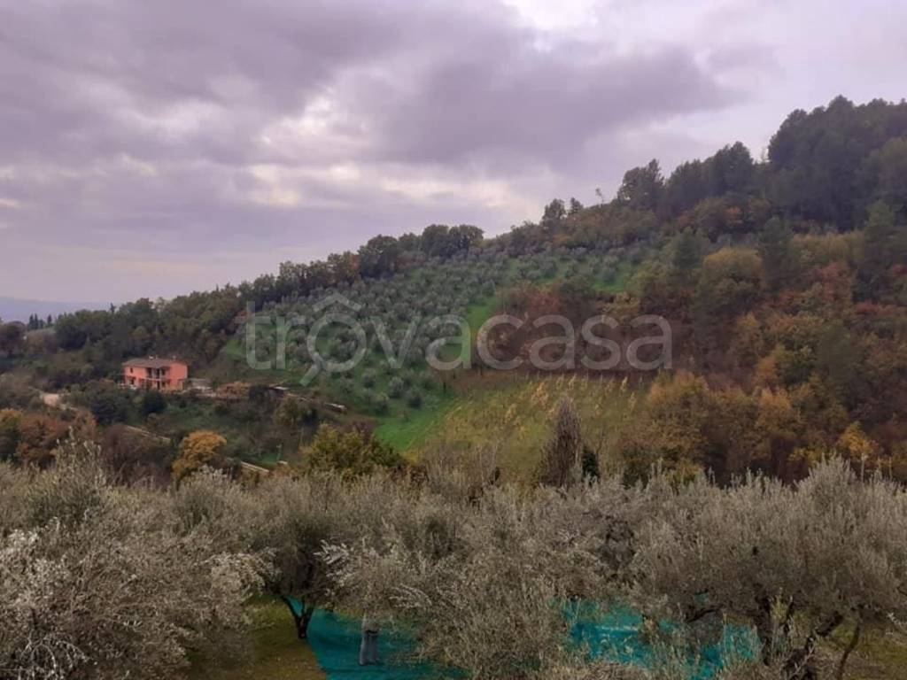 terreno agricolo in vendita a Foligno in zona San Giovanni Profiamma