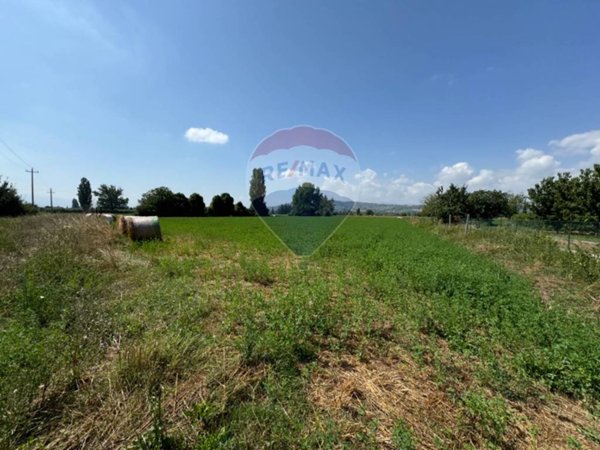 terreno agricolo in vendita a Foligno in zona Scafali