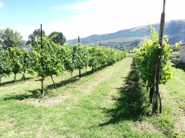 terreno agricolo in vendita a Foligno