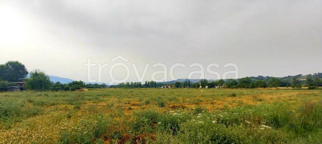terreno agricolo in vendita a Foligno