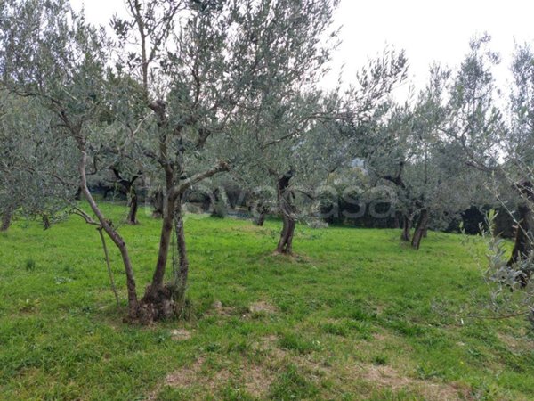 terreno agricolo in vendita a Foligno in zona Belfiore